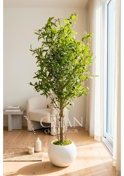 150 Cm Lüks Yapay Zeytin Ağacı - 27x33 Cm Plastik Küre Saksı Beyaz