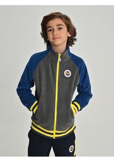 Fenerium Çocuk Trıbun Reglan Kol Detaylı Sweat Grı