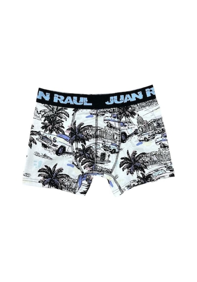 Hawaii Desenli Erkek Boxer - Db177