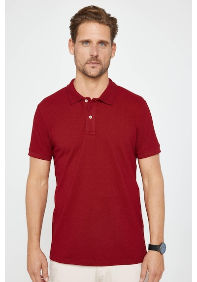 Tudors Erkek 5'li Paket Siyah-yeşil-mavi-bordo-haki Slim Fit Pamuklu Düz Pike Polo Yaka Tişört-34599 Multi
