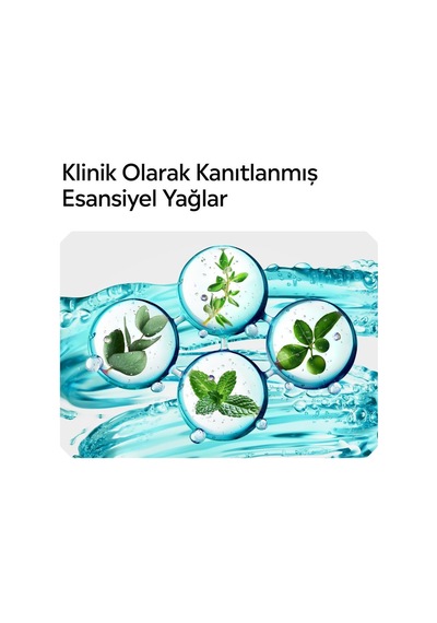 Listerine Cool Mint Ağız Bakım Suyu 1000 Ml X6