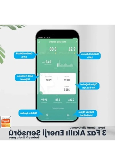 Zigbee Uyumlu Akıllı Enerji Ölçer, Gerçek Zamanlı Takip