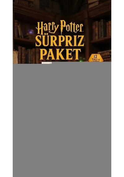 Buğz Harry Potter Sürpriz Figür Koleksiyonu Kutu Oyuncak