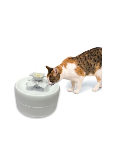 Pioneer Pet Drinking Fountain Manolya Otomatik Kedi Su Kabı 1600 ML