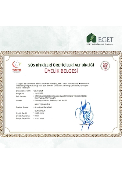 EGET Organik Lavanta Fidesi-12 Adet