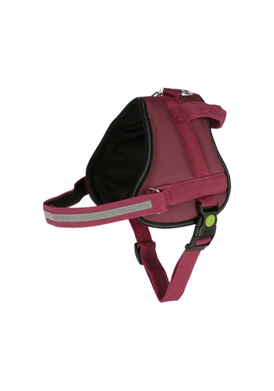 Kerbl Köpek Belden Tasma Maestro 2.0 Bordo 57 - 77 CM Bordo