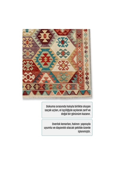 Dekoratif Halı Kaymaz Taban Leke Tutmaz Yıkanabilir Kilim Özel Ölçü Salon Halısı 3056 Çok Renkli