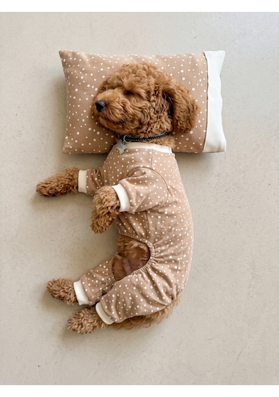 Latte & Matcha Kedi Rüyası Pamuklu Kedi Tulumu, Polar Sweatshirt Ve Mini Yastık 4 Parça