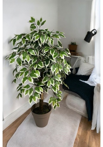 100 Cm Yapay Ficus Dekoratif Ağaç Çok Renkli