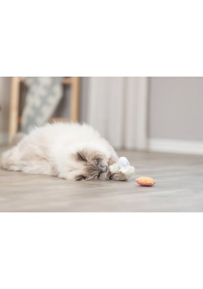 Trixie - 47 - Kedi Oyuncağı, Dondurma Ve Kek Şeklinde, Peluş, - Hcctrend - Kediotlu 7cm