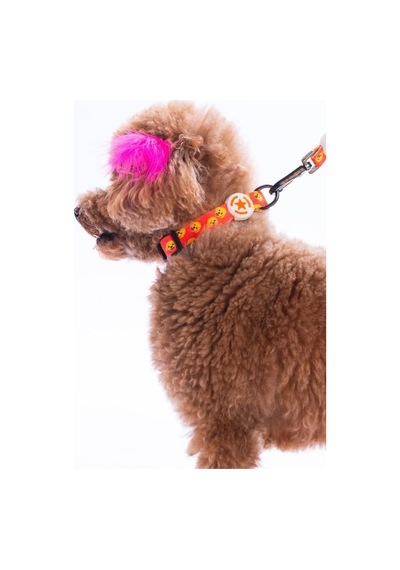 Pawstar Poodle Boyun Tasması M Boyun Çevresi: 32 Cm X 48 Cm Çok Renkli