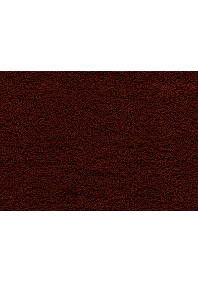 Tetra Goldfish Gold Japon 250ml / 145gr.