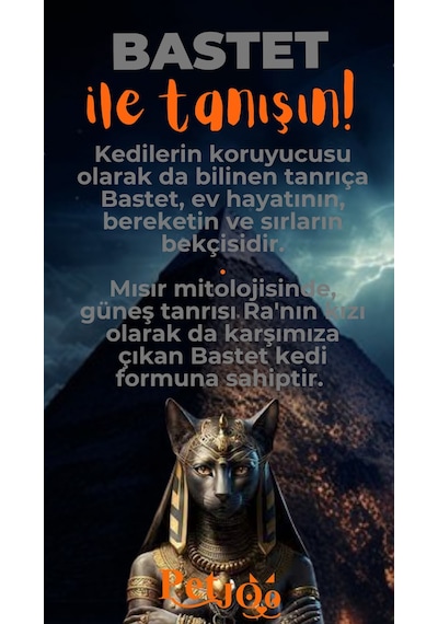 Petjoo 1.Bastet Turuncu-Gri Qr'lı Kedi Künyesi