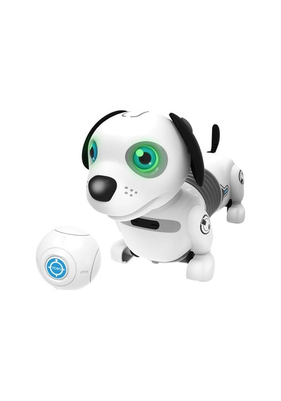 Robo Dackel Junior Robot Köpek