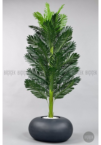 Yapay Areka Ağacı 160-180 Cm No Color