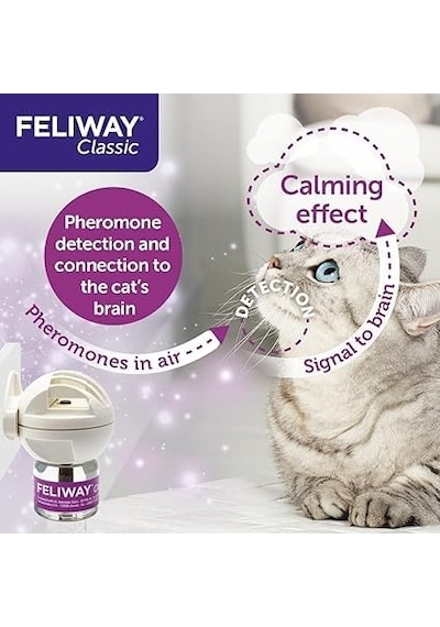 Felıway Classic Başlangıç Seti