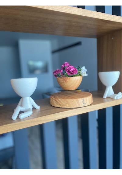 Pcd200 Uçan Saksı