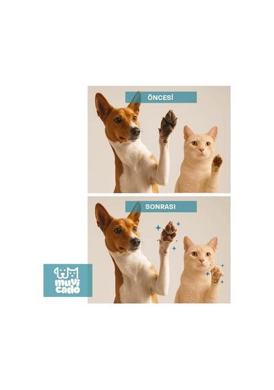 Kedi Köpek Pati Temizleme Köpüğü Pati Yıkama Jeli Hijyen Bakım Spreyi Nano Series