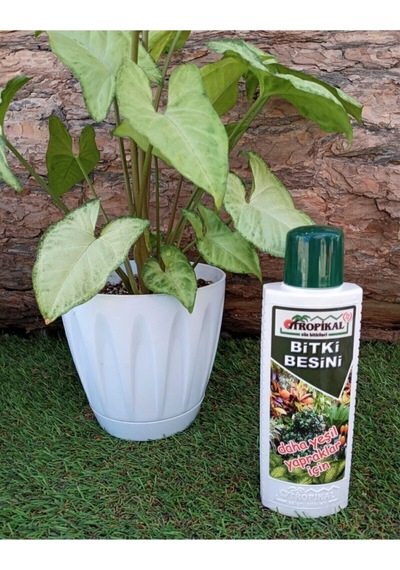 Bitki Besini 3'lü Set Genel Bitki Besini Çiçek Açtıran Yeşil Yapraklı Bitki Vitamini Gübre 1 kg