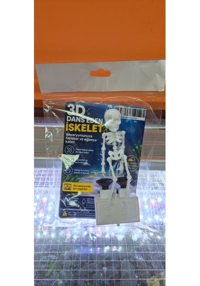 3d Dans Eden İskelet