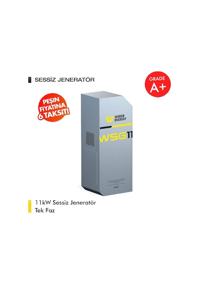 11kW LiFePO4 Lityum Demir Fosfat Tek Faz Sessiz Jeneratör
