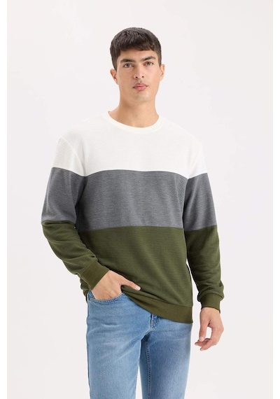 DeFacto Regular Fit Bisiklet Yaka Renk Bloklu Jakarlı Sweatshirt D5393AX24AUGN351