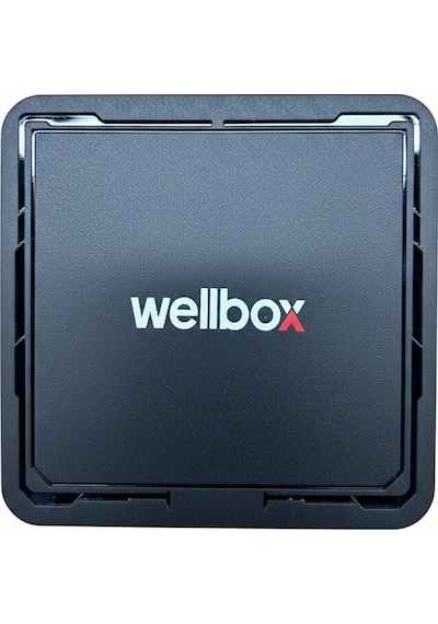 Wellbox 4k Android Tv Box Medya Oynatıcı
