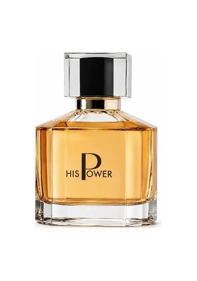 His Power Erkek Parfümü Edp 100 Ml Diğer