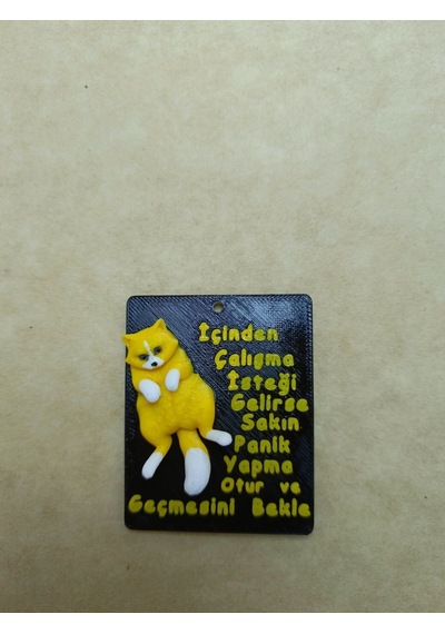 Miskin Kedi - Yazılı Magnet