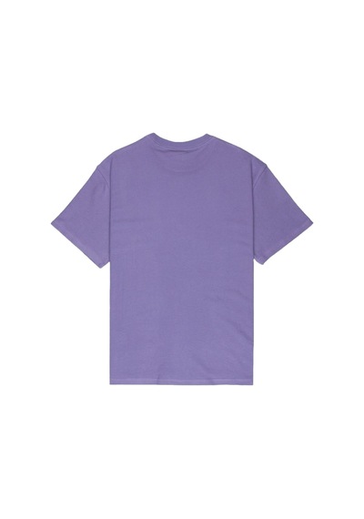 Quiksilver Quıksılver Bayı Ss Tee Pks0 Mor