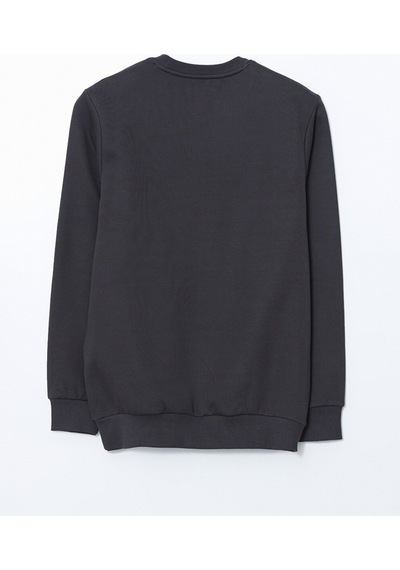 Lcwaıkıkı Classic Antrasit Bisiklet Yaka Baskılı Erkek Kalın Sweatshirt