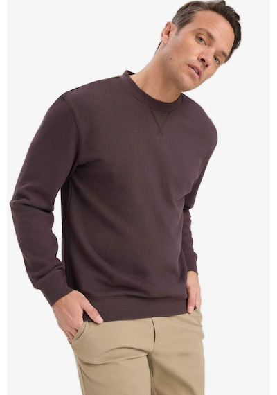 Defacto %100 Pamuk Regular Fit Bisiklet Yaka Sweatshirt E8339ax25aubn596 Kahve Defacto %100 Pamuk Regular Fit Bisiklet Yaka Sweatshirt E8339ax25aubn596 Kahve