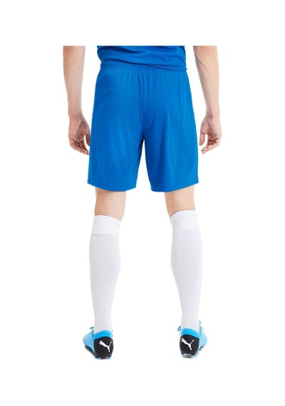 Puma 704262 Teamgoal 23 Knit Shorts Mavi Mavi