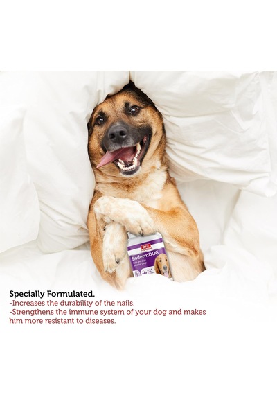 Derm Dog 75 Tablet