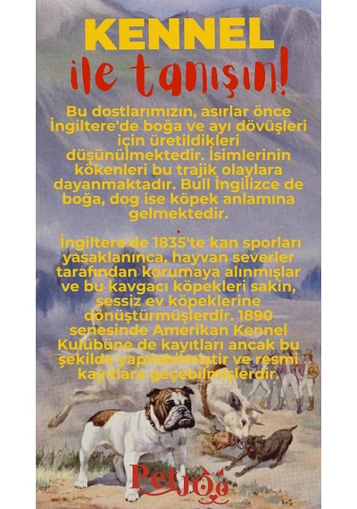 Petjoo 16.Kennel Kırmızı-Sarı Qr'lı Köpek Künyesi