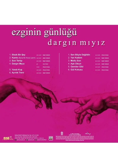 Ezginin Günlüğü/dargın Mıyız Plak Lp