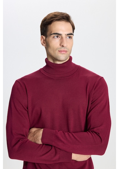AC&Co / Altınyıldız Classics Erkek Bordo Standart Fit Normal Kesim Tam Balıkçı Yaka Triko Kazak Bordo AC&Co / Altınyıldız Classics Erkek Bordo Standart Fit Normal Kesim Tam Balıkçı Yaka Triko Kazak Bordo