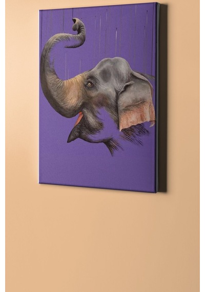 Webstyle Sayılarla Boyama Seti Kasnaklı Neşeli Fil 50 X 65 Cm