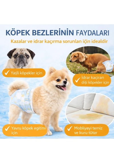 Sogud Dişi Köpek Ve Kedi Tuvalet Bezi M Ultra Emici Ve Sızdırmaz Pet Bezi, Regl Kızgınlık D