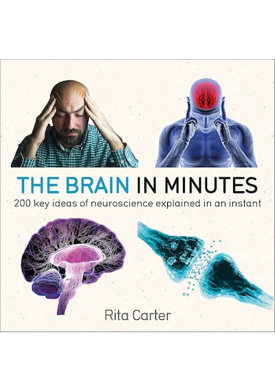 The Brain In Minutes Kapak Değişebilir : 200 Key Ideas Of Neuroscience Explained In An Instant