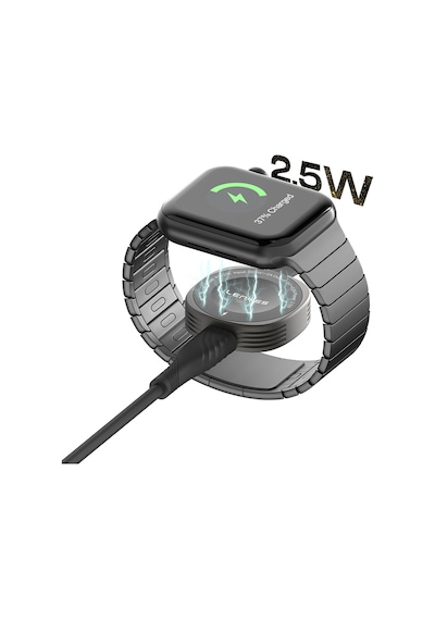 Akıllı Saat Mini Wireless Magnetik Şarj Aleti Lenyes Pw316 2.5w Gri