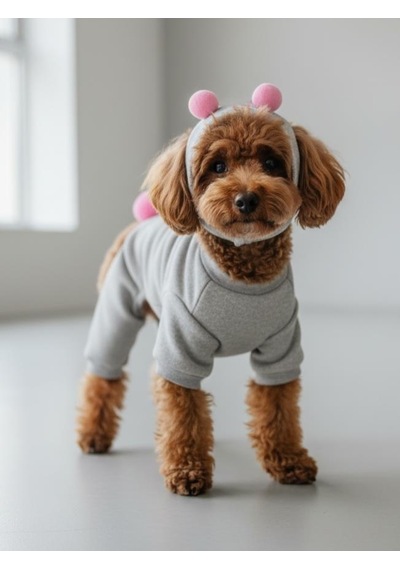 Ponpon Şeker Köpek Tulumu & Bere Takımı Şardonlu Polar Kumaş Küçük Irk Köpekler İçin Tüy Dökülmesini Gri M