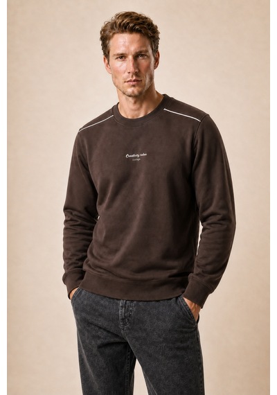 Redline Qwen Bisiklet Yaka Regular Fit Kışlık Sweatshirt Kahve