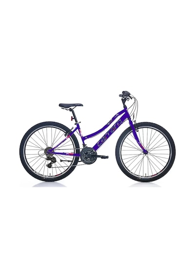 Carraro Speed 262 V Fren 21 Vites 26 Jant Dağ Bisikleti Eflatun Beyaz Mor Beyaz - Mor