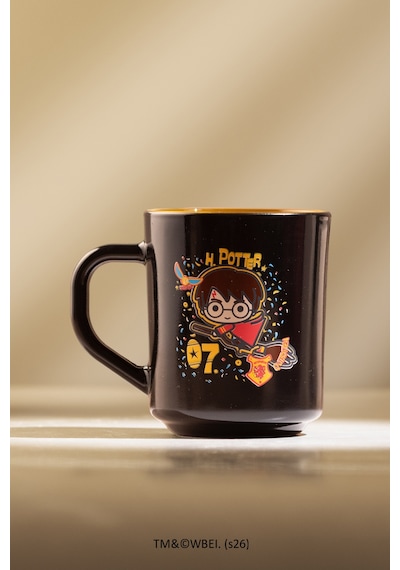 Harry Potter 2'li Kupa Seti 250 Cc Çok Renkli