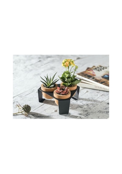 Metal Stantlı 3 Lü Skulent Saksısı Siyah Metal Stant Ve Meşe Saksılar, Modern Tasarım, Dekoratif Çiçek Saksılığı, Skulent Ve Kaktüs İçin Şık Saksı, Ev Ve Ofis Dekoru 001