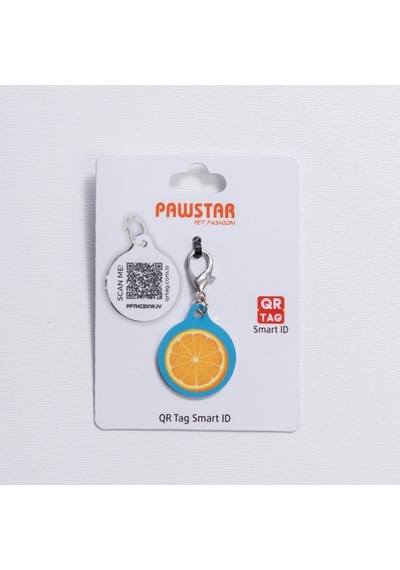 Citrus Desenli Qr Tag Evcil Hayvan Künyesi İsimlik Pet Tag Köpek Künyesi Kedi Künyesi Qr Kodlu Künye Turkuaz