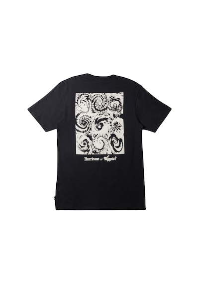 Quiksilver Aqyzt09540 Hurricane Or Hippie Moe Erkek Tişört 001