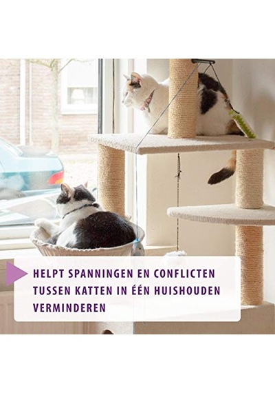 Friends Çatışmaya Karşı Kedi - Evaporatör+navulling 48 Ml