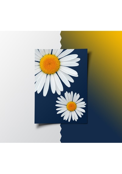 Çerçevesiz Poster Papatya Temalı Dijital Baskı Poster, Ev, Ofis, Salon Dekorasyon